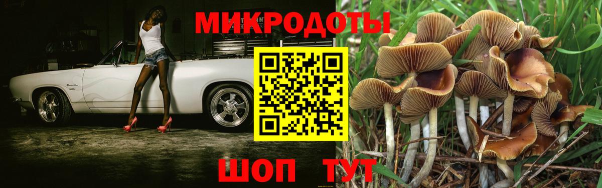 где купить наркоту  Псилоцибиновые грибы Magic Shrooms  Вход с VPN  Бахчисарай 